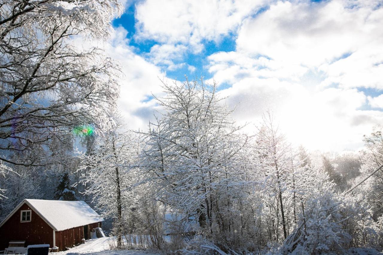 Almas Gard Holiday park Ullared
